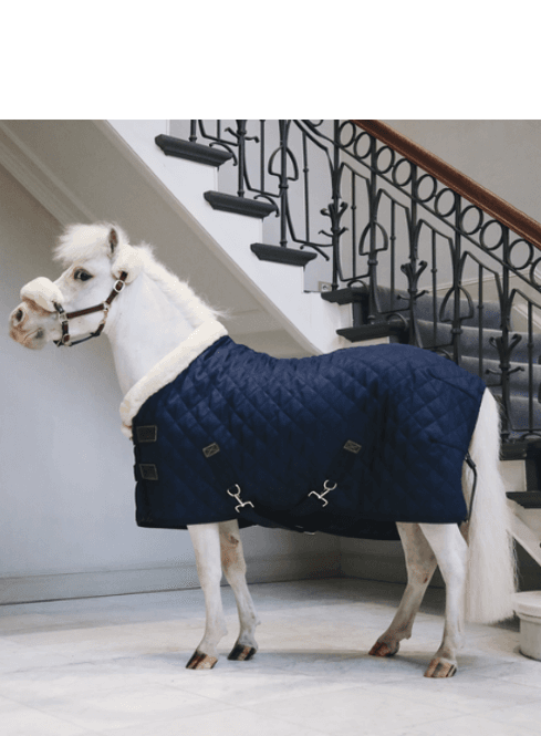 Hovedbilde Kentucky Show rug Ponni - Navy