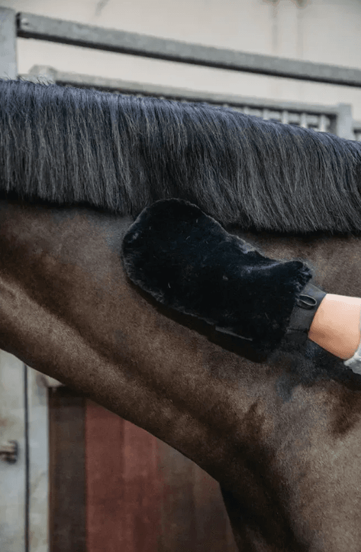 Grooming deluxe sheepskin glove Sort