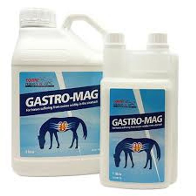 Hovedbilde Equine Products Gastro-Mag 5l.
