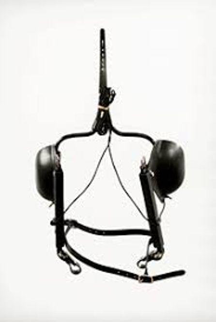 Hovedbilde RacingTack Halvrund dra-skylapper 251