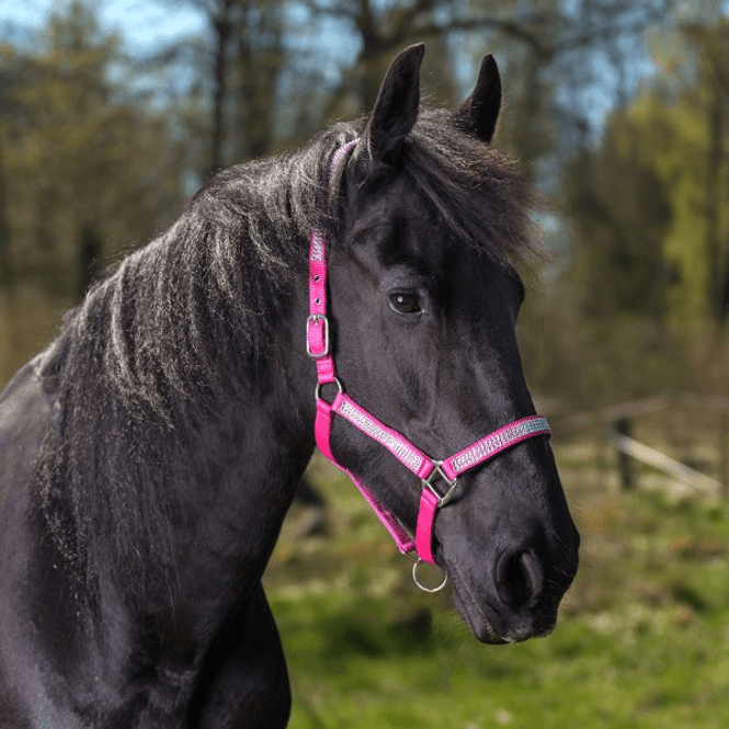 Hovedbilde Globus Romana grime med strass