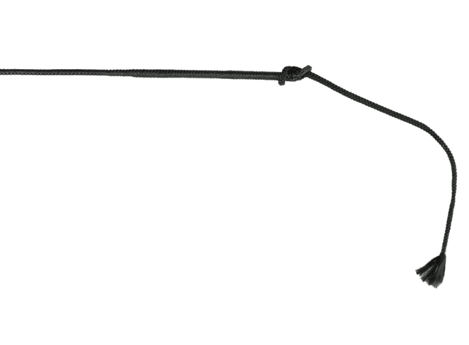 Hovedbilde Finntack Pro Kjørepisk 48''