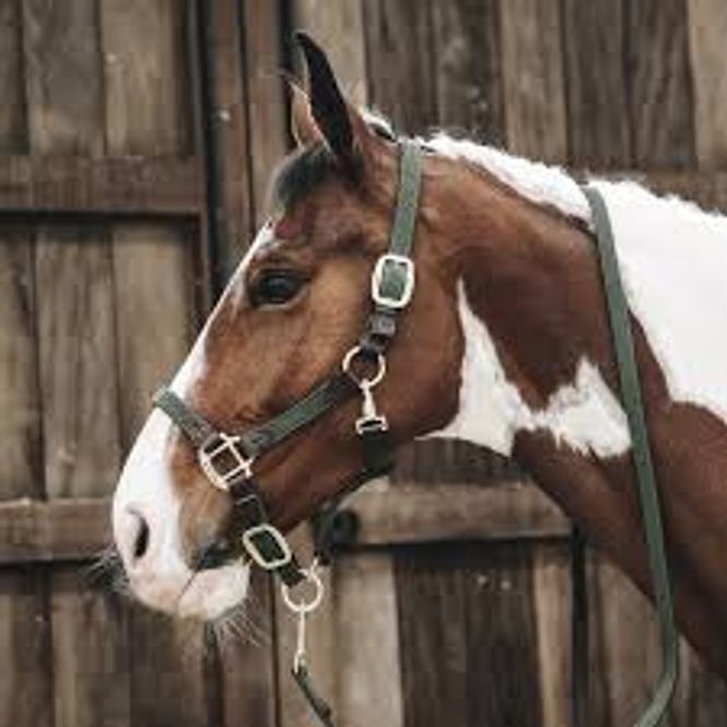 Hovedbilde Kentucky Plaited Grime