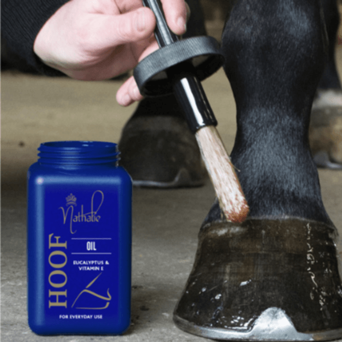 Hovedbilde Nathalie HorseCare Hoof Oil450ml