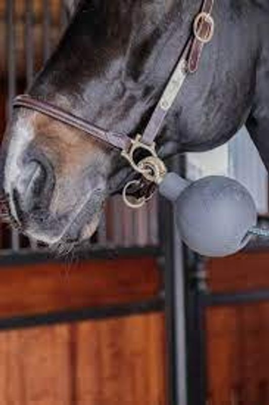 Kentucky Lead & wall Rubber ball Protection.