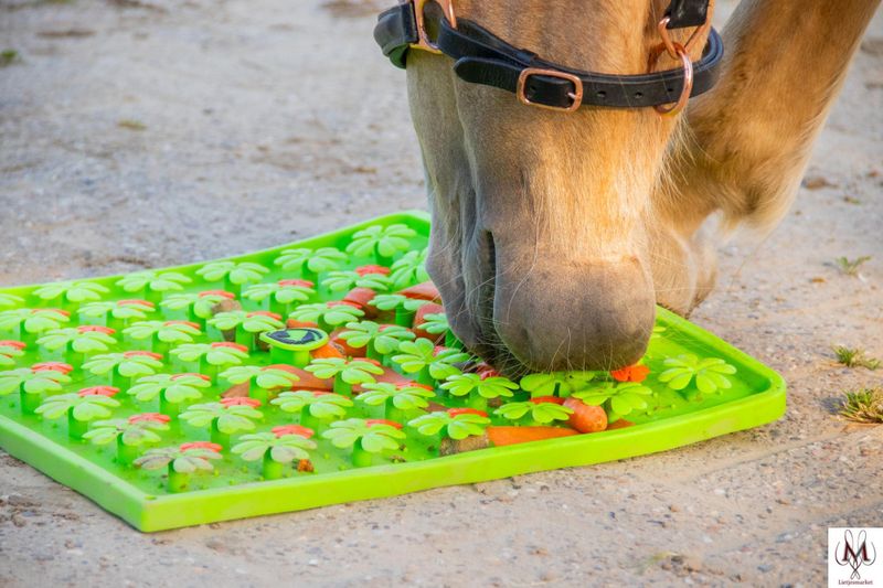 Excelleent Horse snuffle mat