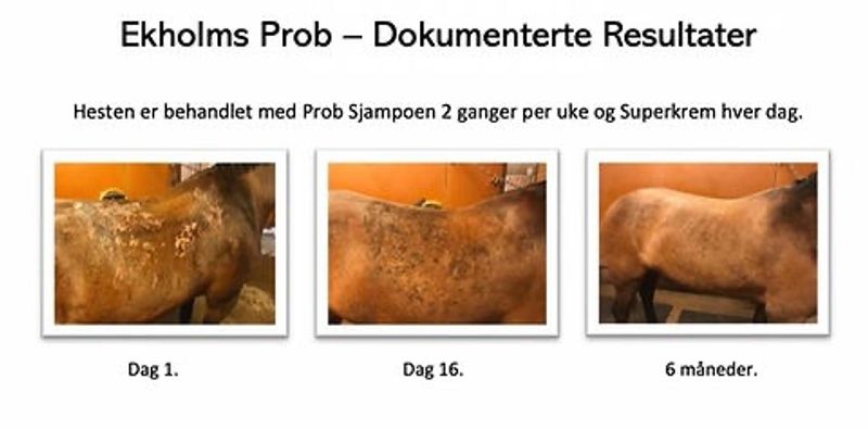 Ekholms Prob Supercream, 300ml