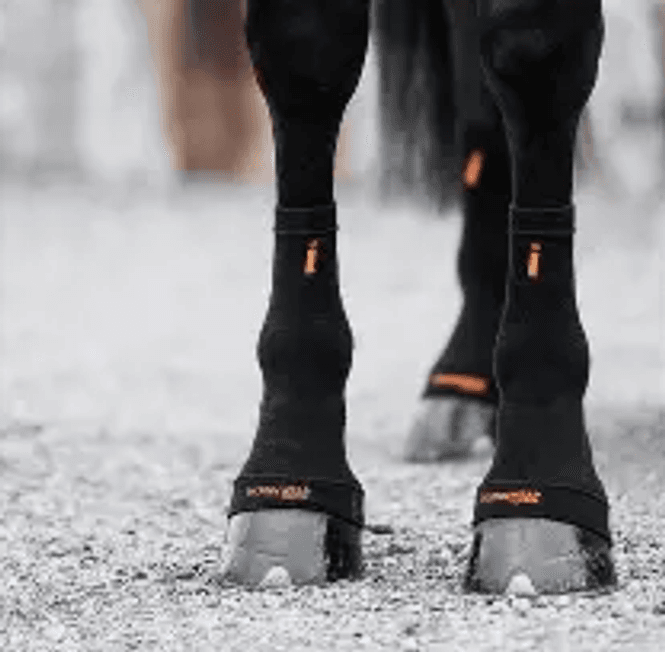 Hovedbilde Incrediwear Equine Circulation Hoof Socks
