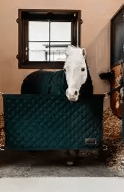 Hovedbilde Kentucky Stable Guard