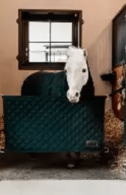 Kentucky Stable Guard