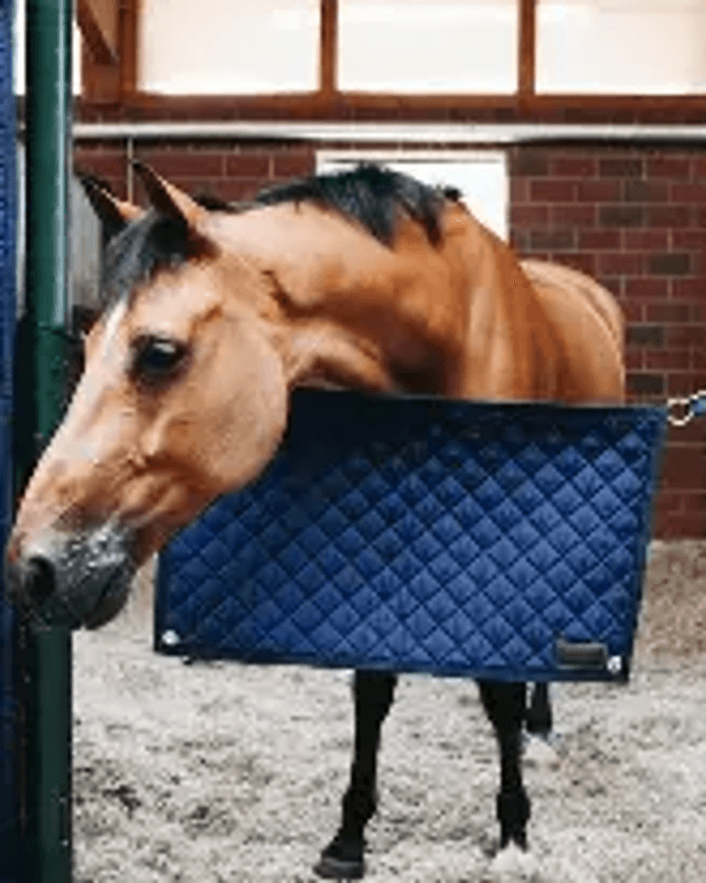 Kentucky Stable Guard