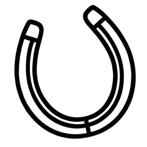 hestesko ridesko til hest travsko sommer og vinter